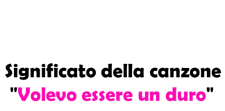 Significato della canzone "Volevo essere un duro"