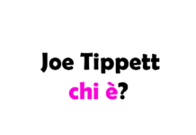 Joe Tippett chi è? Biografia, età, carriera, figli, moglie, Instagram e vita privata