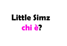 Chi è Little Simz? Biografia, età, vita privata, carriera, fidanzato, Instagram e curiosità