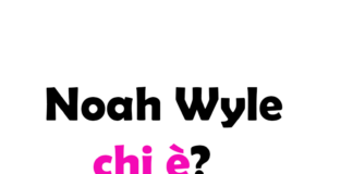 Noah Wyle chi è? Biografia, età, carriera, film, moglie, figli, Instagram e vita privata