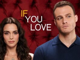If You Love (Ya Çok Seversen): che cos'è, cast, trama, numero di puntate, stagioni e curiosità
