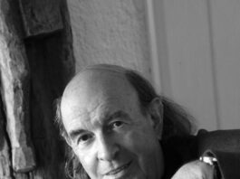 Stefano Zecchi chi è?