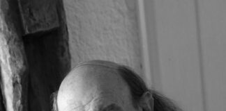 Stefano Zecchi chi è?