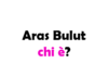 Aras Bulut İynemli chi è? Biografia, età, altezza e peso, carriera, vita privata, Instagram e curiosità