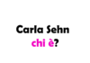 Carla Sehn chi è? Biografia, età, film, serie TV, vita privata, Instagram e curiosità