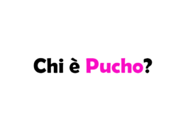 Chi è Pucho?