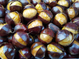 Come cuocere le castagne in friggitrice ad aria: temperatura, tempo, consigli e procedura
