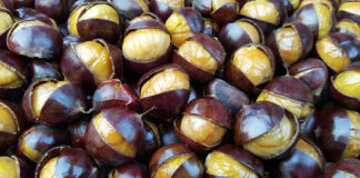 Come cuocere le castagne in friggitrice ad aria: temperatura, tempo, consigli e procedura