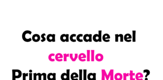 Cosa accade nel cervello Prima della Morte? Le ultime scoperte tra Neuroscienza e Mistero