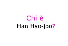 Han Hyo-joo chi è?