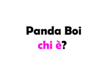 Panda Boi chi è? Biografia, vero nome, età, libro, carriera, fidanzata, Instagram e vita privata