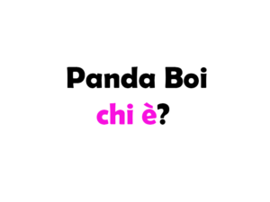 Panda Boi chi è? Biografia, vero nome, età, libro, carriera, fidanzata, Instagram e vita privata