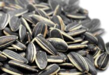 Come mangiare i semi di girasole: benefici, idee e quantità consigliate Come mangiare i semi di girasole