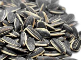Come mangiare i semi di girasole