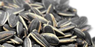 Come mangiare i semi di girasole