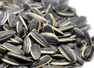 Come mangiare i semi di girasole