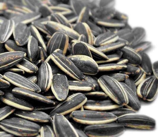 Come mangiare i semi di girasole