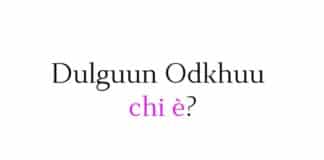 Dulguun Odkhuu chi è