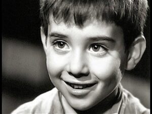 Marcellino Pane e Vino Marcellino Pane e Vino