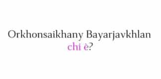 Orkhonsaikhany Bayarjavkhlan chi è
