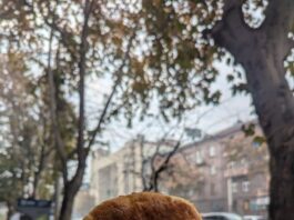 Che cos’è il Gata, dolce armeno?