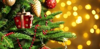 Frasi auguri Natale da dedicare: idee originali e pensieri speciali Frasi auguri Natale da dedicare