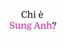 Sung Anh (Anh Sung-jae) chi è