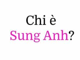 Sung Anh (Anh Sung-jae) chi è