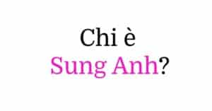 Sung Anh chi è Sung Anh (Anh Sung-jae) chi è