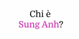 Sung Anh (Anh Sung-jae) chi è