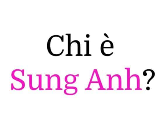 Sung Anh (Anh Sung-jae) chi è
