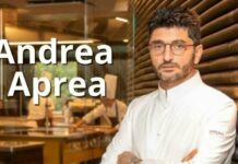Andrea Aprea chi è