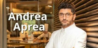 Andrea Aprea chi è