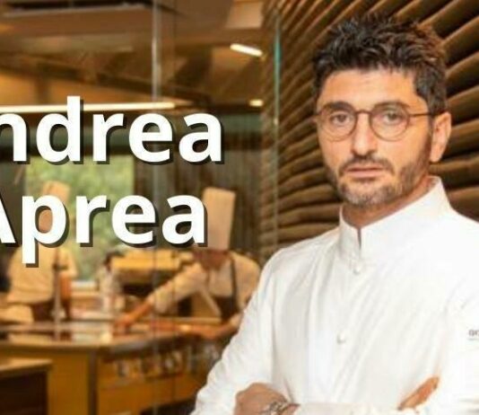 Andrea Aprea chi è
