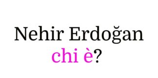 Nehir Erdoğan chi è