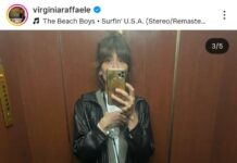 Chi è il compagno di Virginia Raffaele?