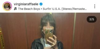 Chi è il compagno di Virginia Raffaele?