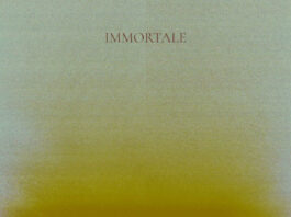 Ferretti pubblica "Immortale": il nuovo singolo che anticipa l’album Dalle nostre parti