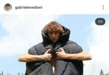 Gabriele Nediani chi è