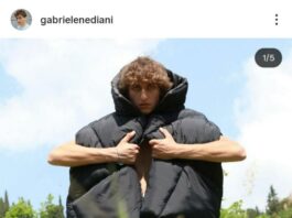 Gabriele Nediani chi è