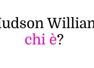 Hudson Williams chi è