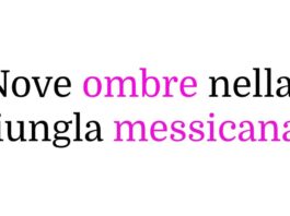 Nove ombre nella giungla messicana è la nuova serie thriller su TimVision, cast e trama