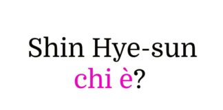 Shin Hye-sun chi è
