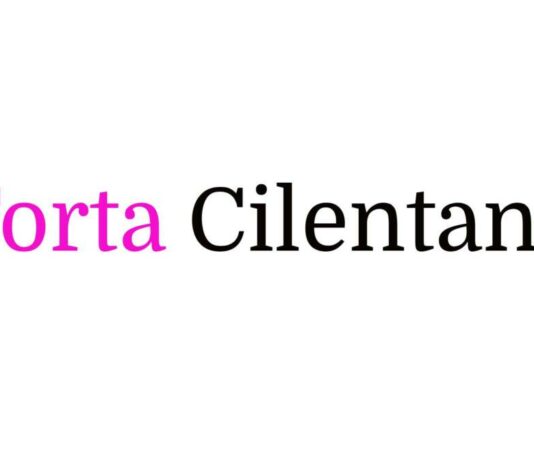 Torta Cilentana: cos’è, storia, origine e come si prepara