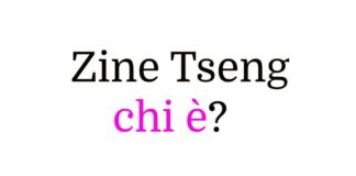 Zine Tseng chi è