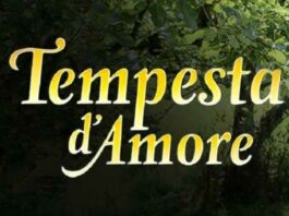 Da quanti anni trasmettono Tempesta d’amore? Storia, debutto e curiosità sulla soap tedesca
