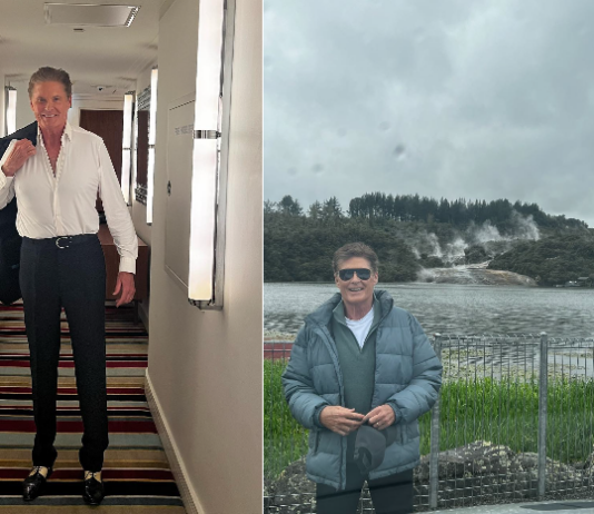 David Hasselhoff chi è