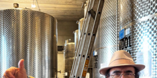 Quanti figli ha Albano Carrisi e con chi: famiglia e vita privata del cantante