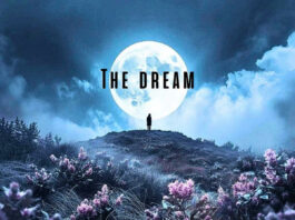 The Dream dei Dual Harmony: significato, testo e uscita del nuovo singolo