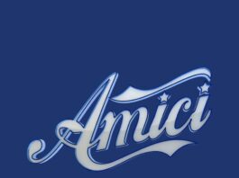 Dove si trova la scuola di Amici di Maria De Filippi e chi la gestisce oggi